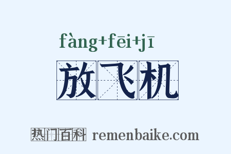 放飞机是什么意思的图片